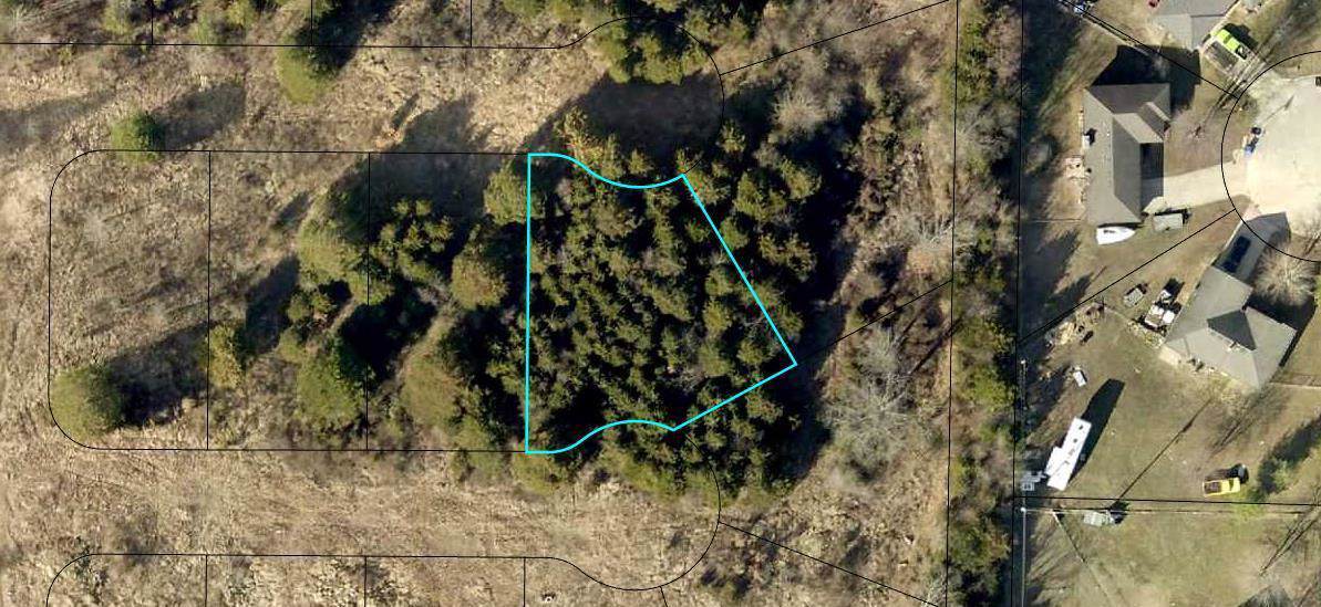 175 Bald Cypress Court (Lot 50A) - Photo 1
