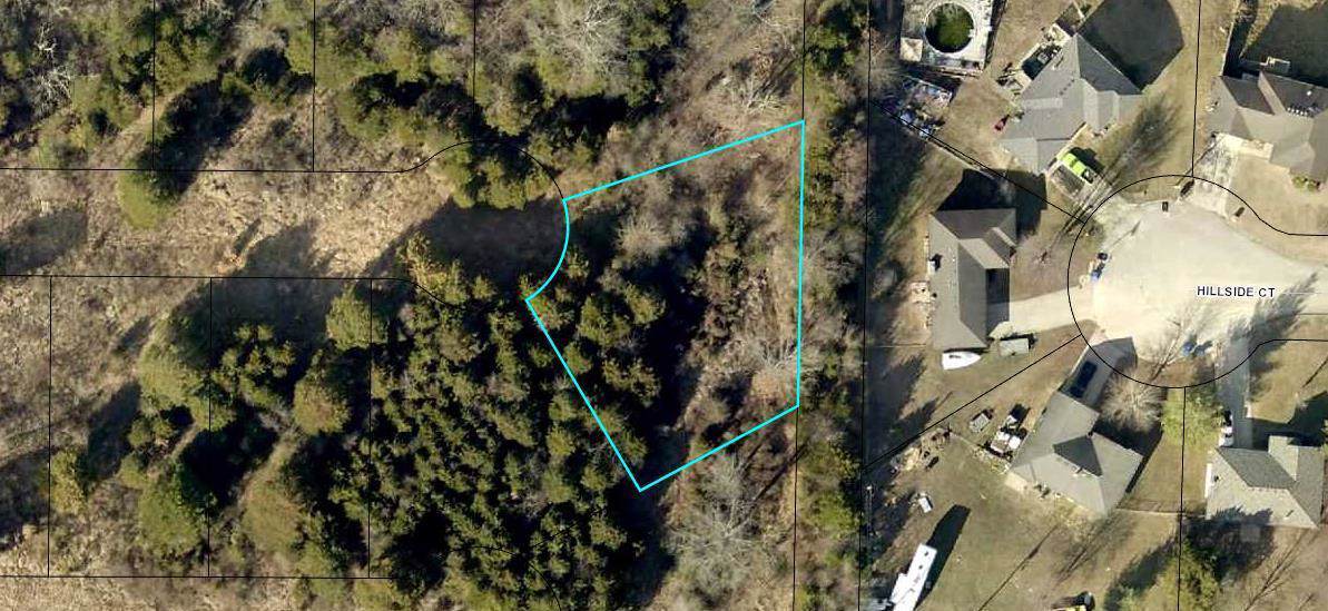 165 Bald Cypress Court (Lot 51A) - Photo 1