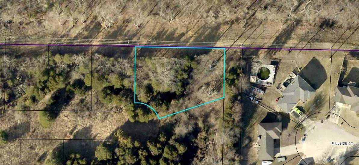 155 Bald Cypress Court (Lot 52A) - Photo 1