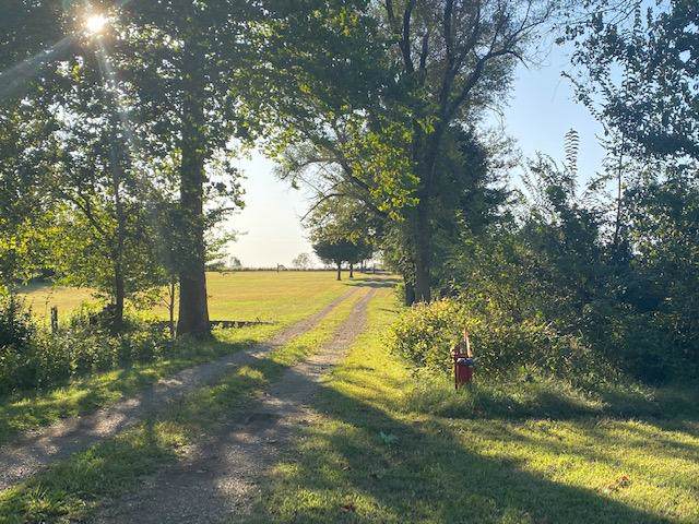 2624 Farm Rd 51 - Photo 1