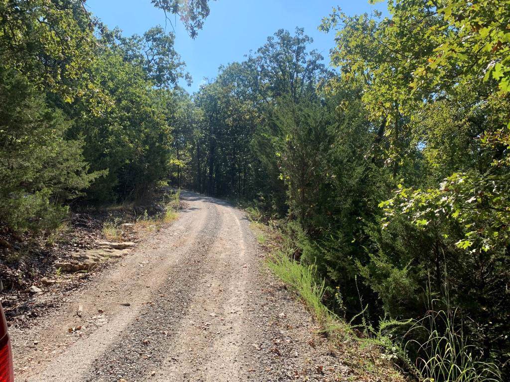 Tbd Cedar Mountian Road - Photo 1