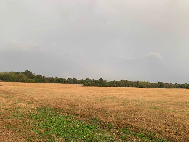 0 492nd Road - Photo 1