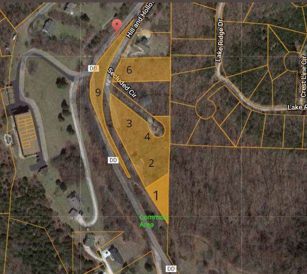 Tbd Hill And Hollow 6 & 9 Lane - Photo 1