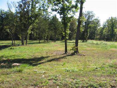 Lot 39 Black Bear Drive - Photo 1