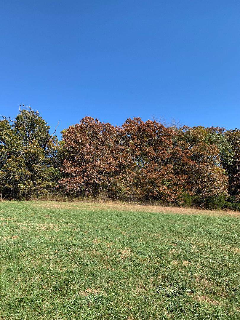 Lot 7 Azalea Lane - Photo 1