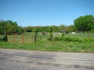 Tbd New Bethel Road - Photo 1