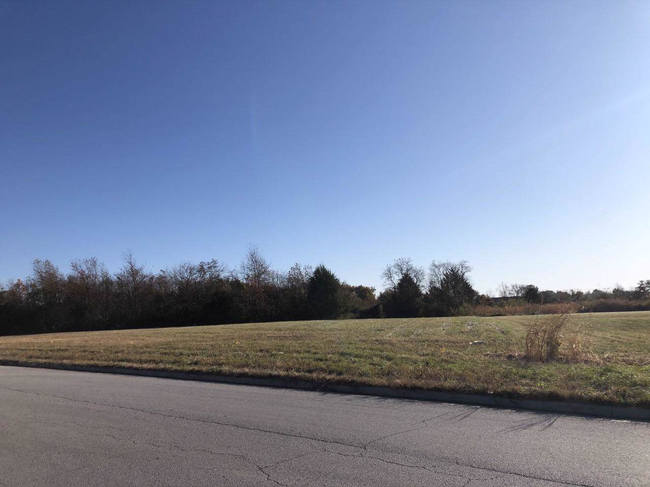 1022 Republic Commons Drive - Photo 1