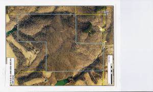 000 County Road 1990 - Photo 1