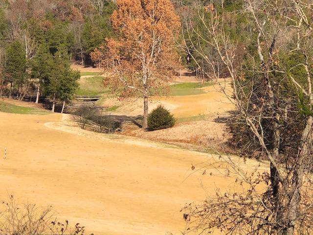 Lot 15 Royal Dornoch Drive - Photo 1