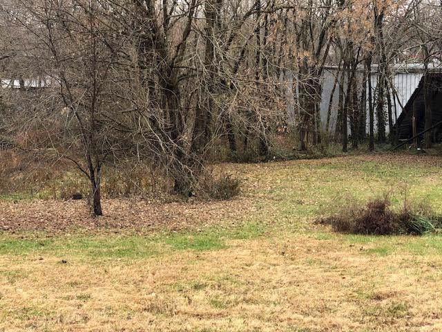 Tbd Old Cane Bluff Rd - Photo 1
