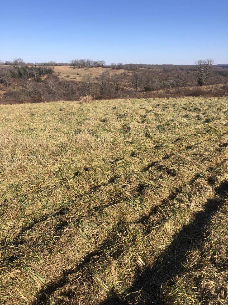 000 County Road 308A - Photo 1