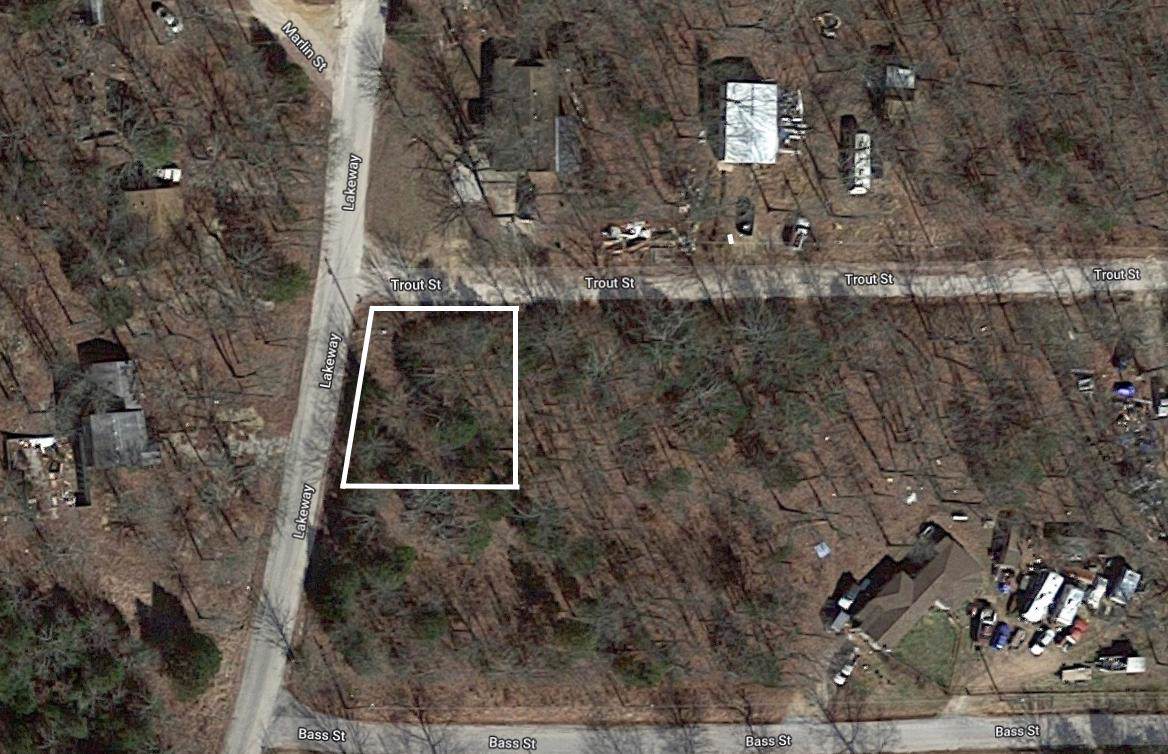Tbd Lot 1 Trout Street - Photo 1