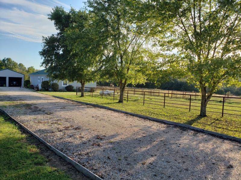 4148 County Road 76-443 - Photo 1
