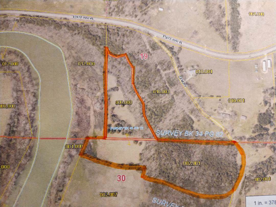 20.5 Acres Canopy Lane - Photo 1