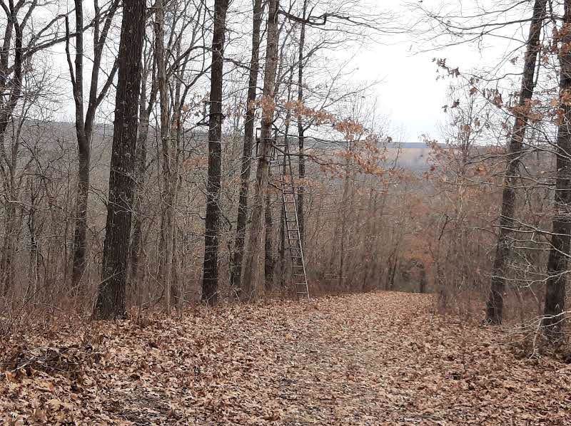 Tbd Casey Ridge Road - Photo 1