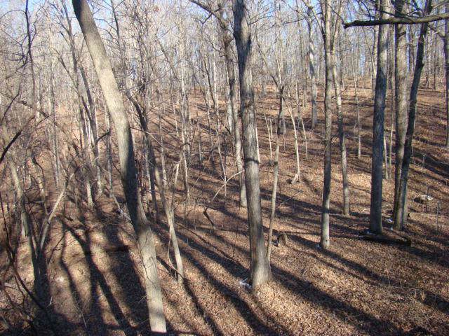 000 Fiddlers Ridge Road Road - Photo 1 000 Fiddlers Ridge Road Road - Photo 1