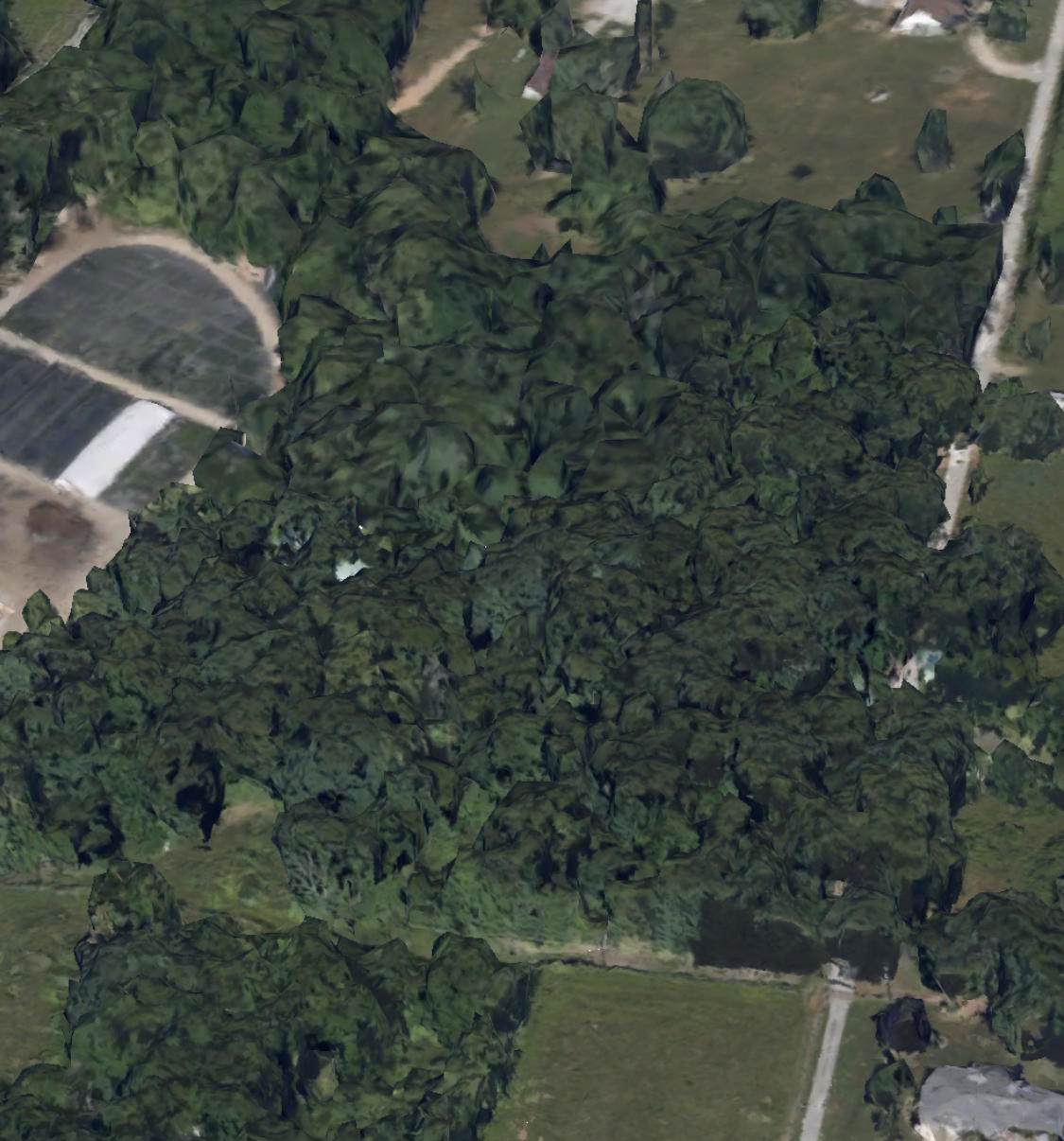 1800-Blk Alamo Road - Photo 1