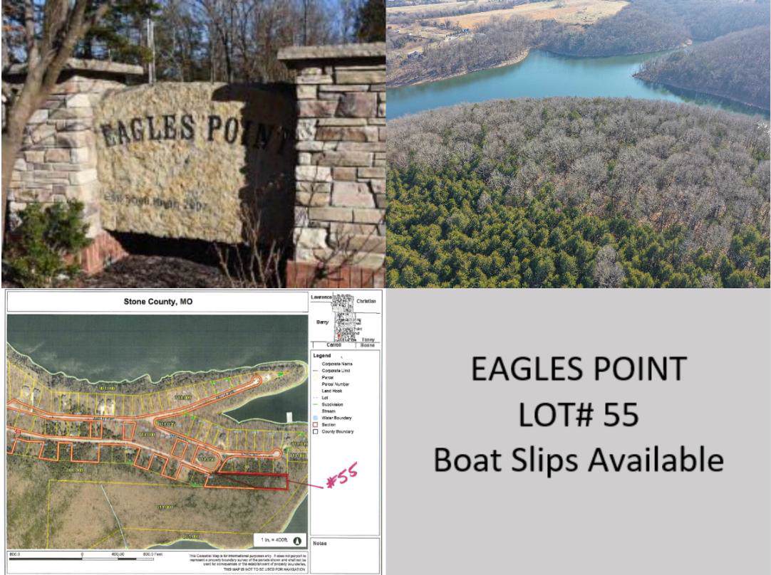 Tbd Lot 55 Eagles Point - Photo 1