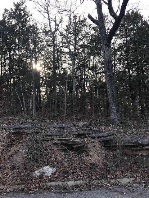 Lot 43 Skylee Drive - Photo 1