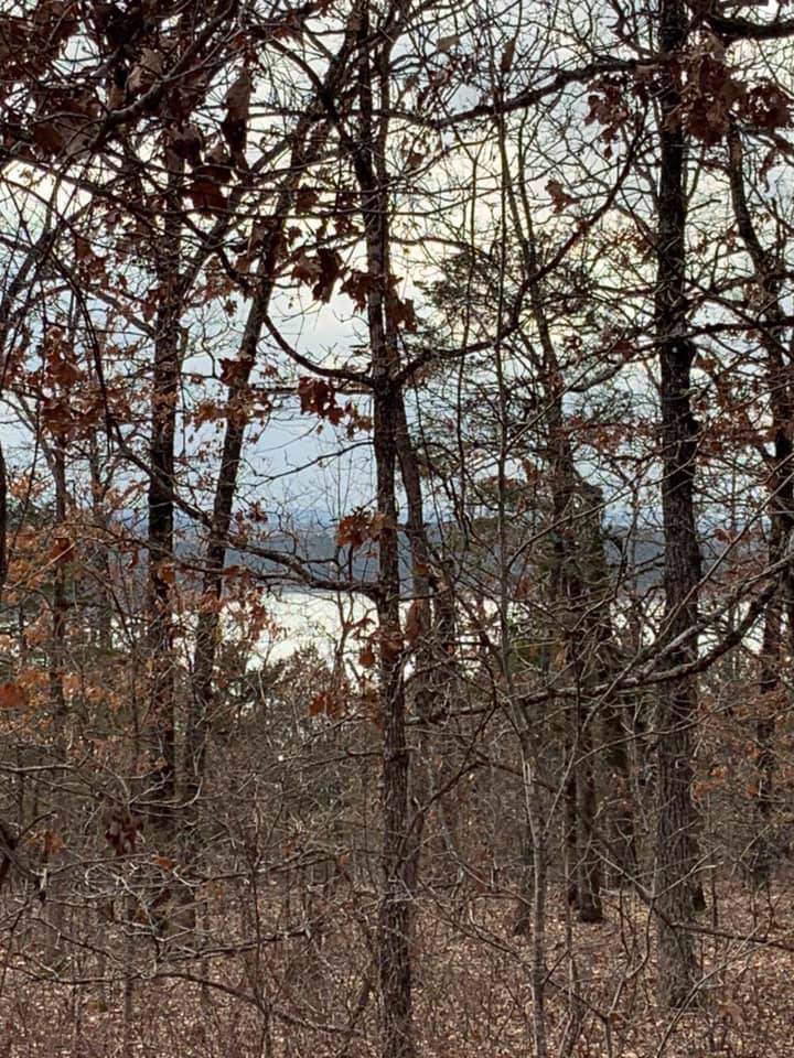 000 Lot 27 Eagle Ridge Road - Photo 1