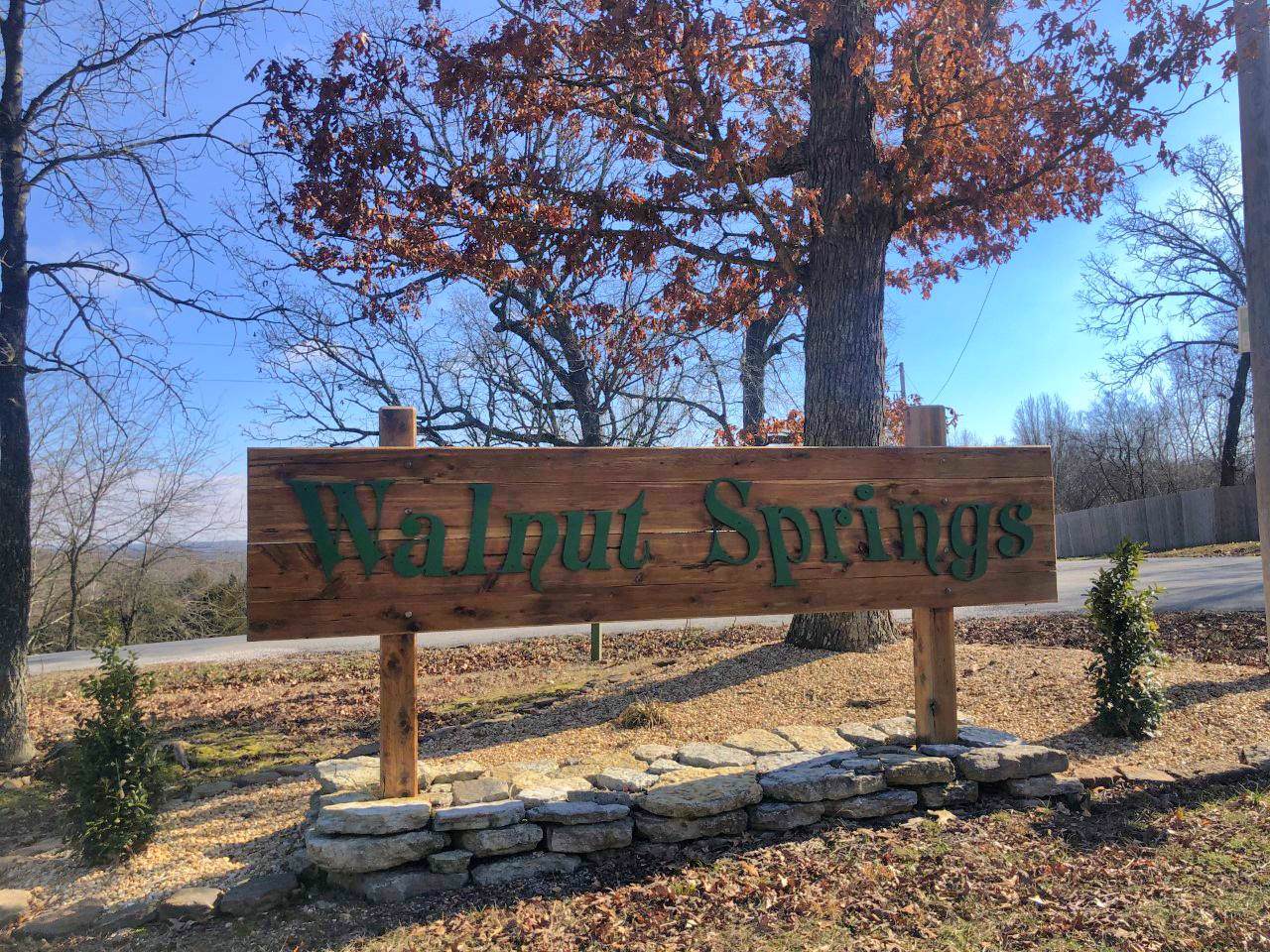 Lot 112 Walnut Springs Drive - Photo 1