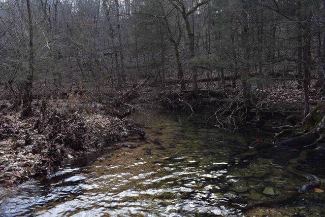 532 Gravely Holler Road - Photo 1