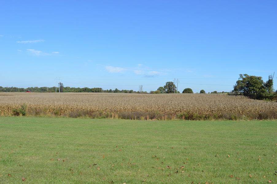 000 Hwy 60 And Dyer Ave - Photo 1