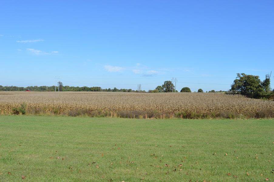 000 Hwy 60 And Dyer Ave Tract 2 - Photo 1