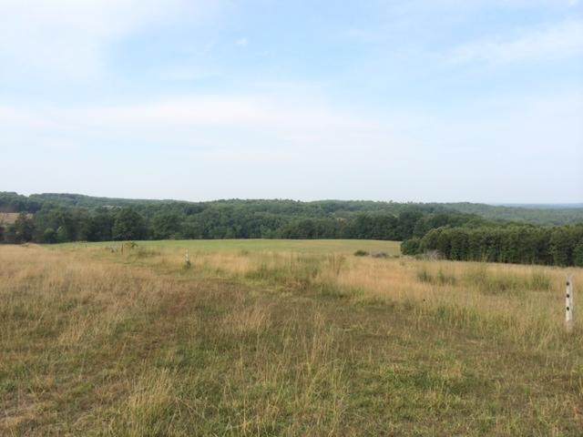 16519 Brown Road - Photo 1