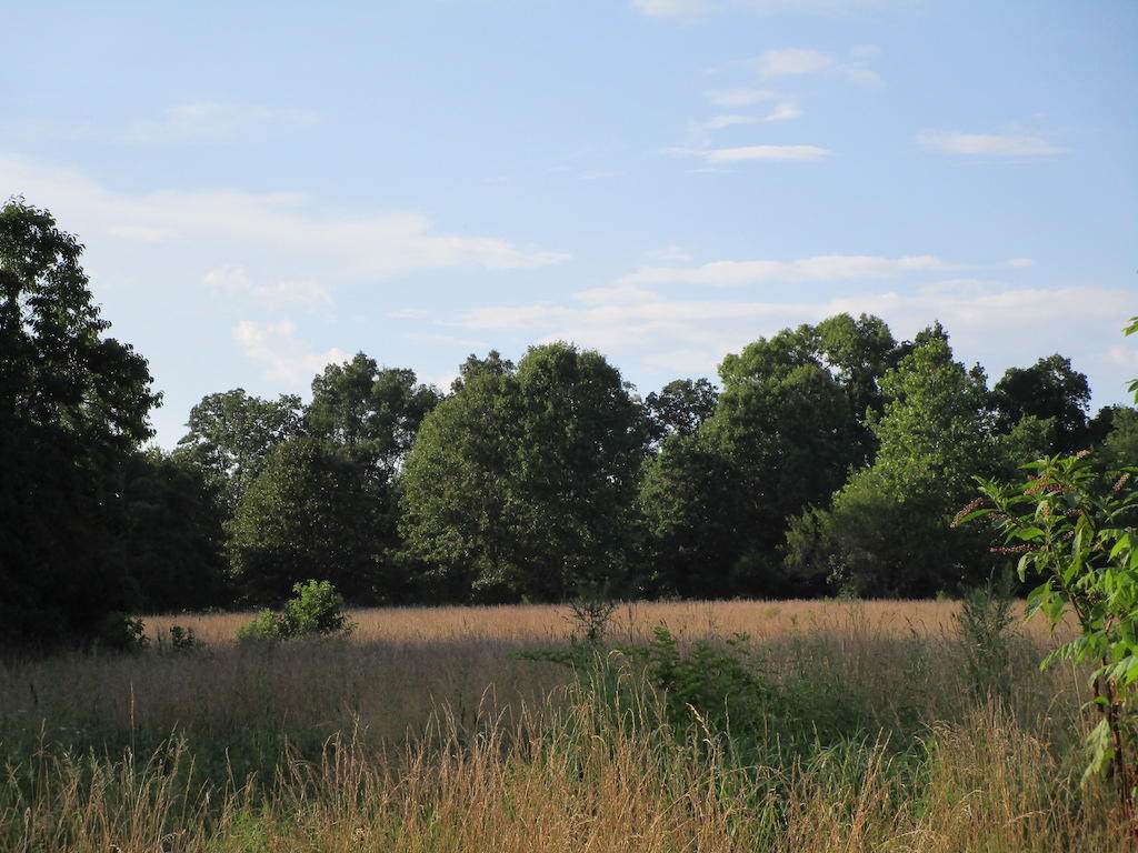000 County Road 2900 - Photo 1
