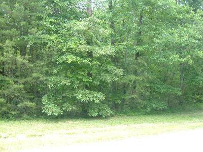 Lot 6 Stone Ridge Drive - Photo 1