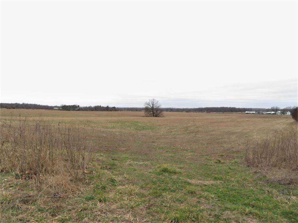 Tbd Hwy Ff - Photo 1 Tbd Hwy Ff - Photo 1