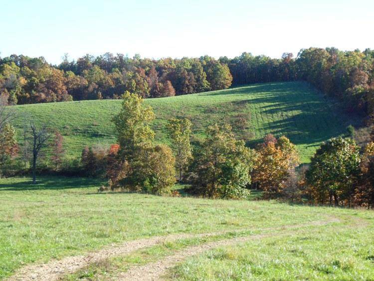 374 County Road 1990 - Photo 1