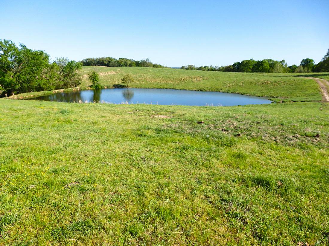 000 County Road 618 - Photo 1
