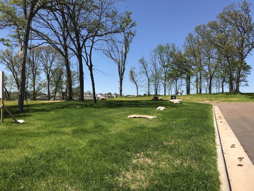 Lot 35 Elk Valley Estates - Photo 1