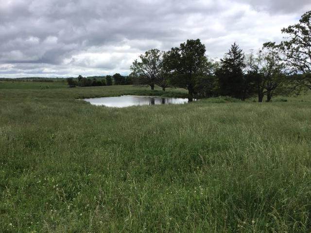 16968 Highway B - Photo 1