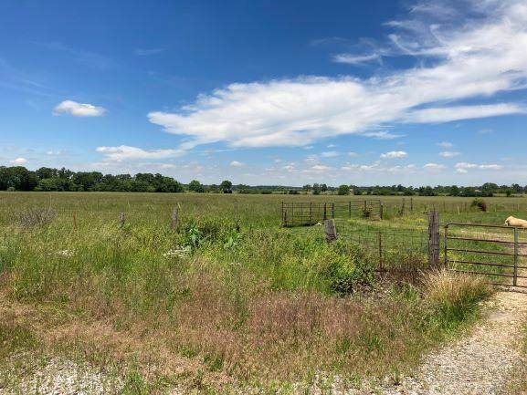 000 Hwy 60 - Photo 1