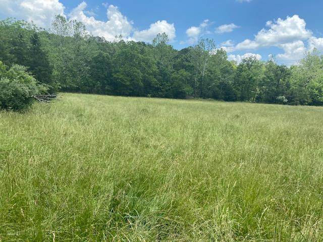 1148 Little Creek Road - Photo 1