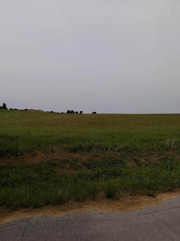 Tract 3 Farm Rd 190 - Photo 1