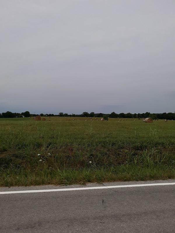 Tract 4 Farm Rd 115 - Photo 1