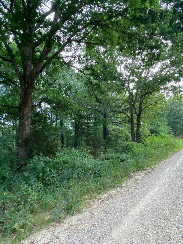Tbd-1 White Oak Street - Photo 1