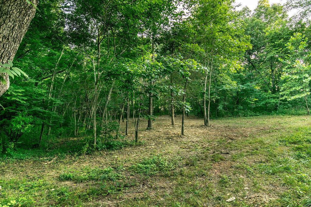 Lot 2 Ph 2 Misty River Subdivision - Photo 1