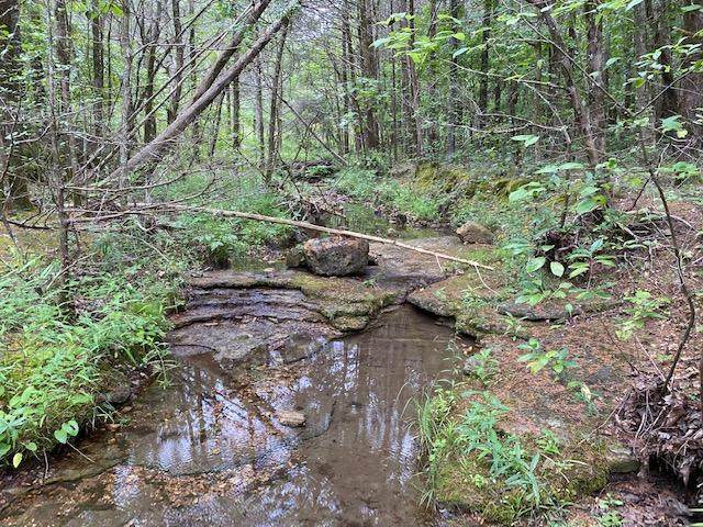 000 County Road 145 - Photo 1