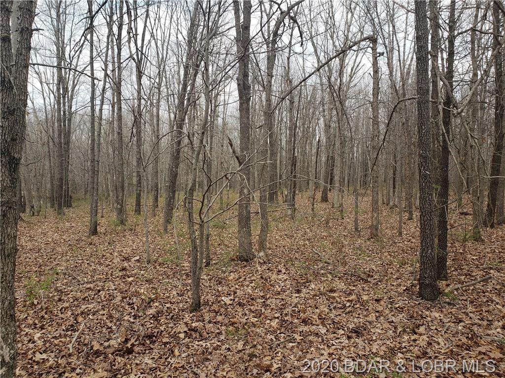 Lot 1510 Off Keeton Place - Photo 1