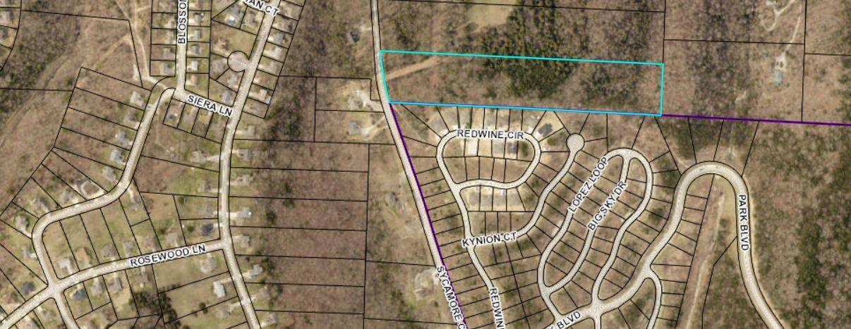 000 Sycamore Church Road - Photo 1