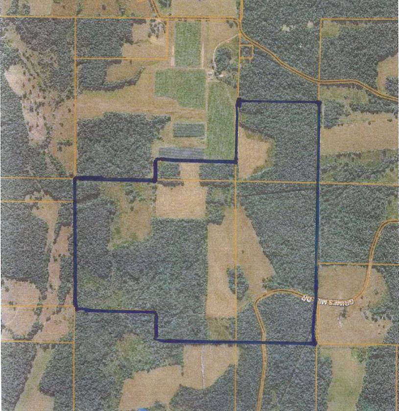000 Grimes Mill Road - Photo 1