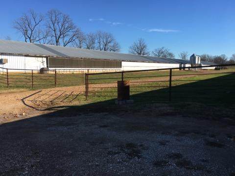 17161 Terrier Road - Photo 1
