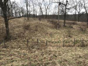 16623 State Highway Yy - Photo 1