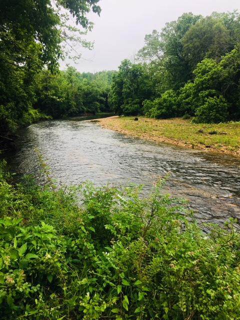 000 County Road 555 - Photo 1