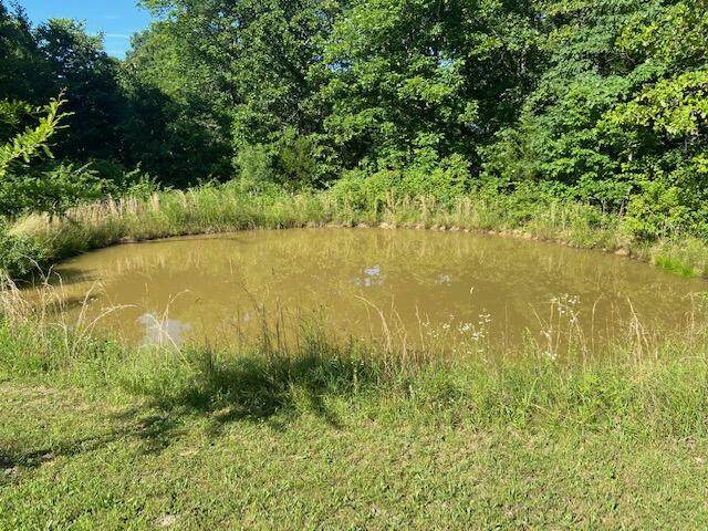 17342 Highway H - Photo 1